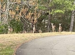 33 Buck Creek Rd, Ellijay, GA 30540