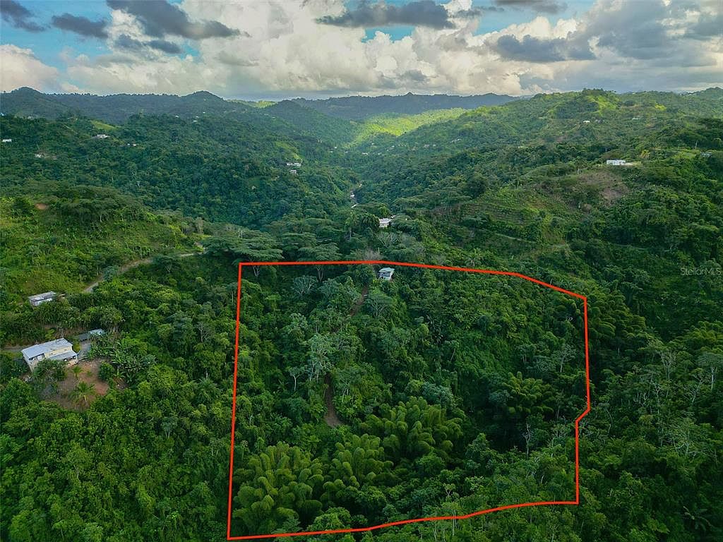 Pezuela Ward, Lares, PR 00669 | Zillow