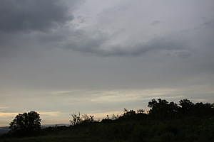 2nd image of 42 Mc #8054