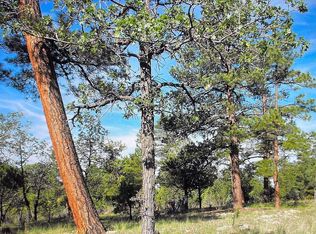 2929 Cedar Ridge Cir LOT 104, Happy Jack, AZ 86024