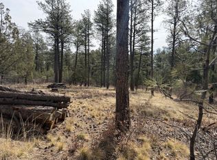 79 Riverside Rd, Timberon, NM 88350