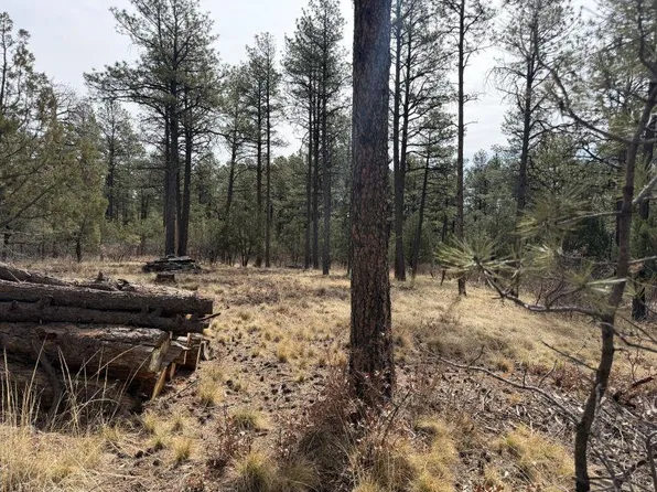 79 Riverside Rd, Timberon, NM 88350