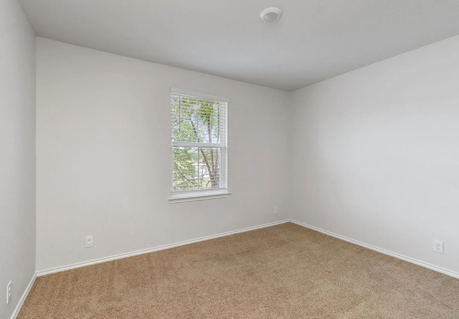 3 bed, 2.0 bath, 1307 sqft, $1,650 — Photo 3
