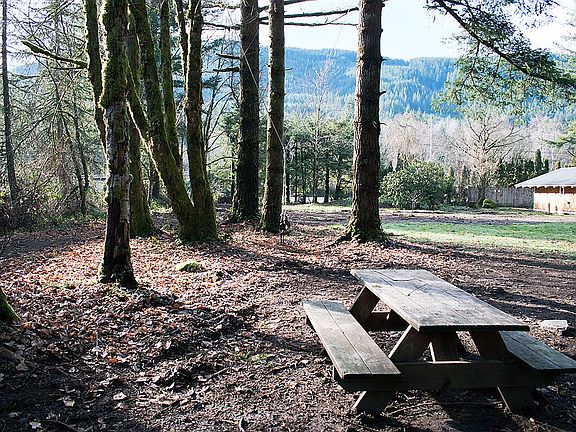 Fire pit area
