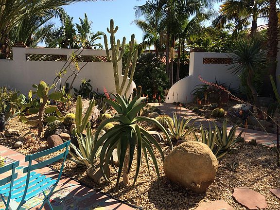 cactus garden in front of unit