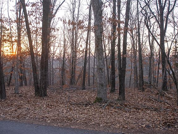 5th image of Tummell Dr #19