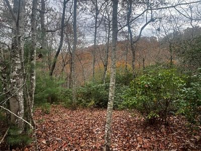 19 Deerwood Dr, Franklin, NC, 28734