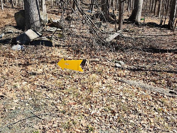 5th image of 4460 Middlepoint Rd