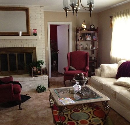 Gas fireplace