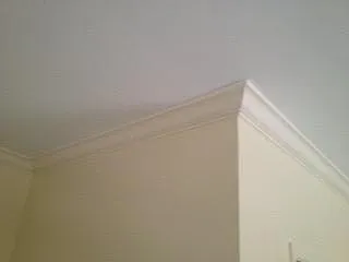 Custom Crown Molding Throughout Unit