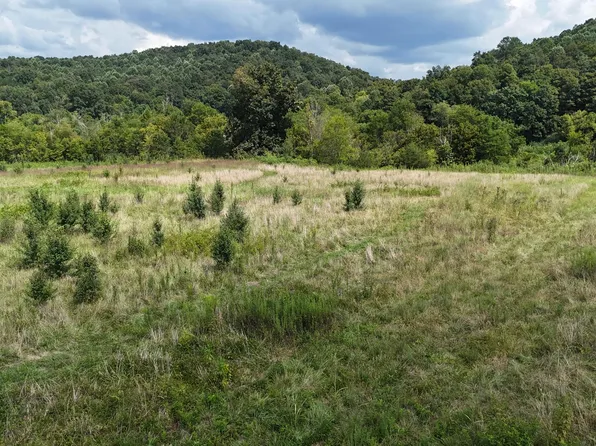 0 County Road 60, Riceville, TN 37370