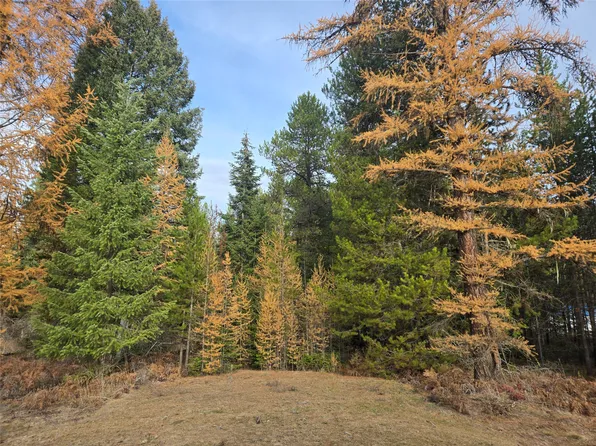 200 Nhn Mount Hwy, Trout Creek, MT 59874