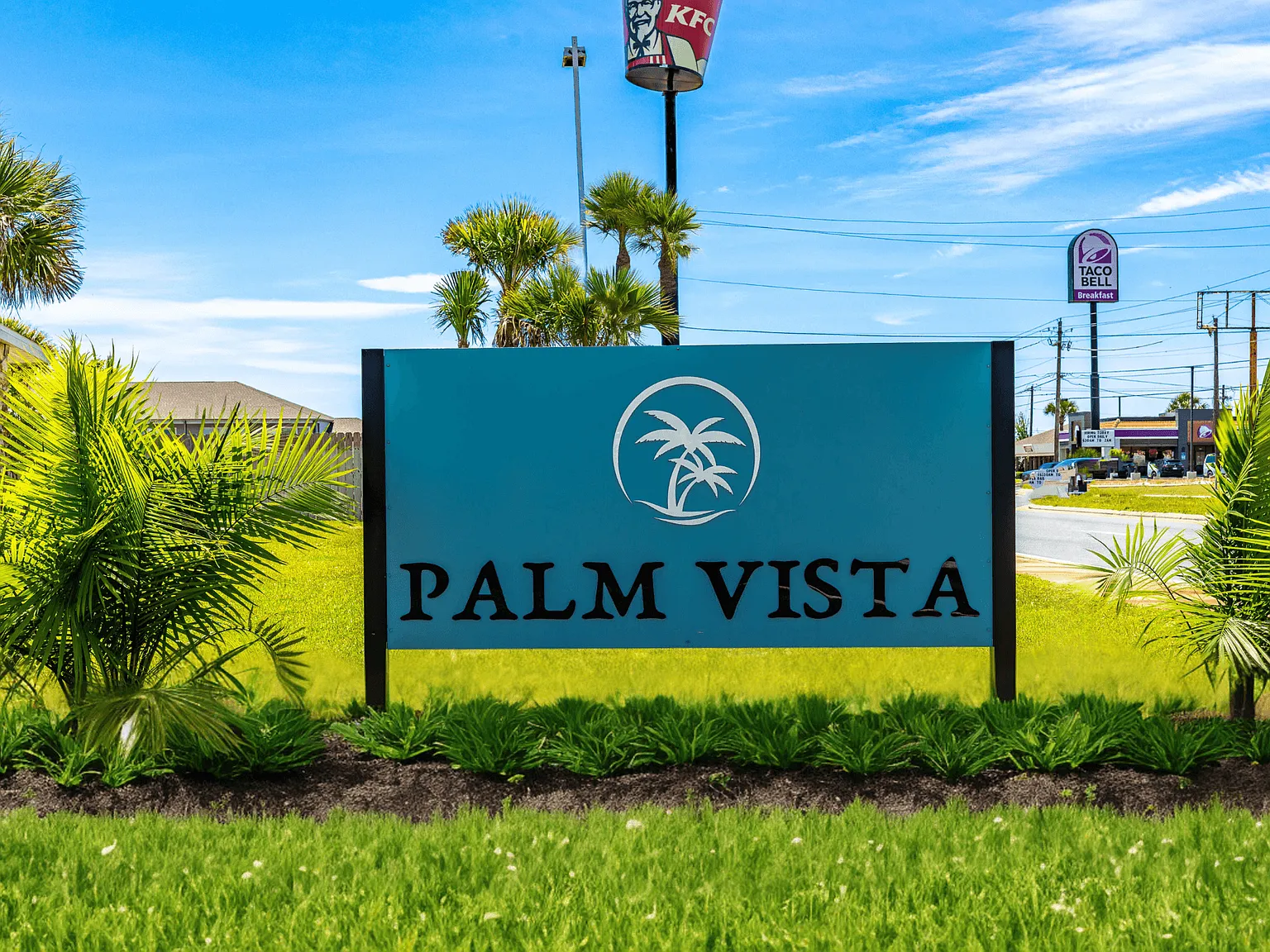 Palm Vista — Photo 1