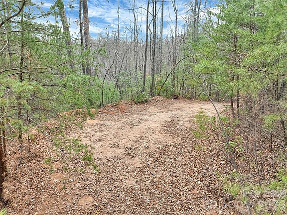4th image of Deep Woods Ln #102