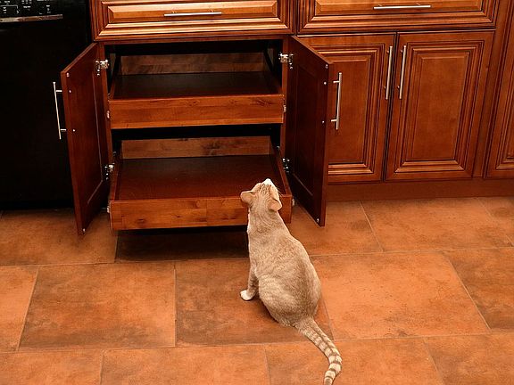 Kitchen cabinet with drawers