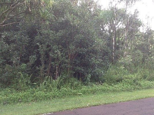 2nd image of 15-2802 S Mano St Lot 1184