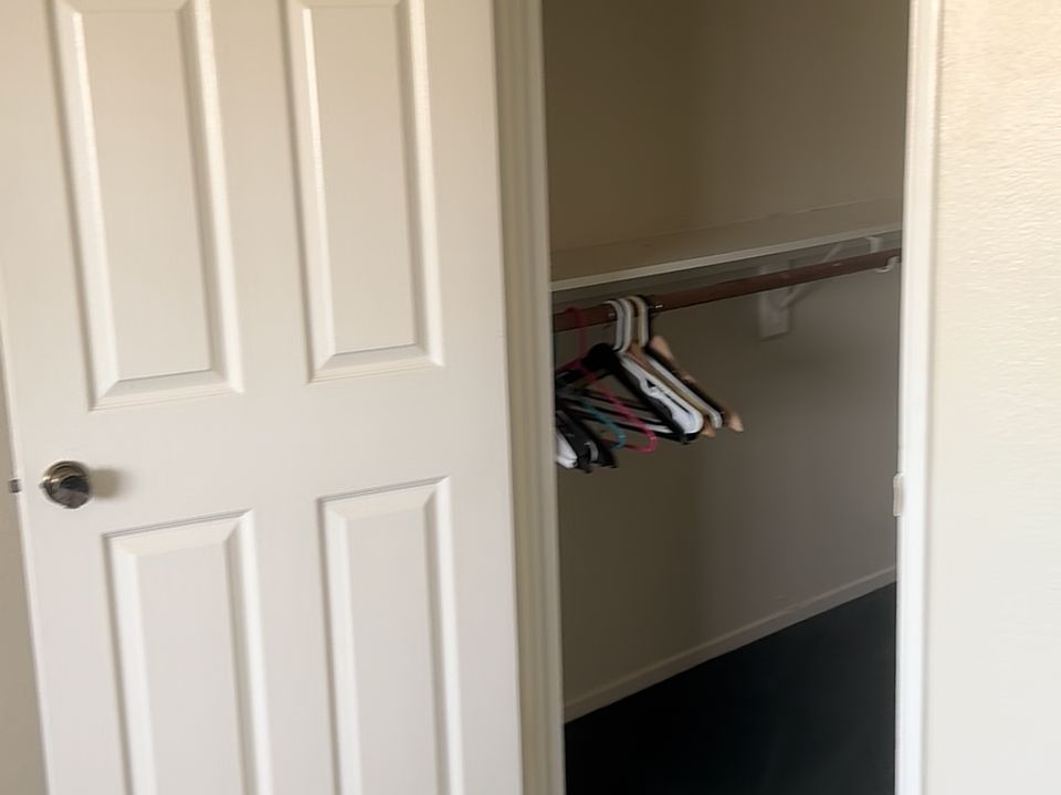 Walk-in Close in Master Bedroom.