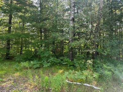 63 Popple Ln, Harrison, MI, 48625