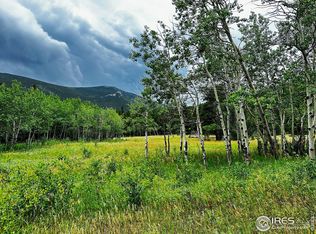 928 Ski Rd, Allenspark, CO 80510