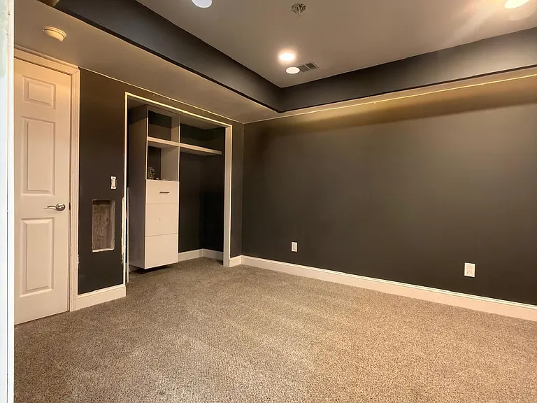 Entertainment Room Closet