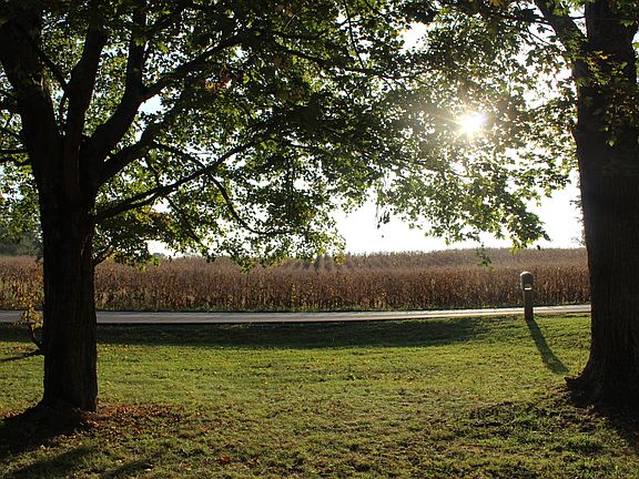 View from front porch 