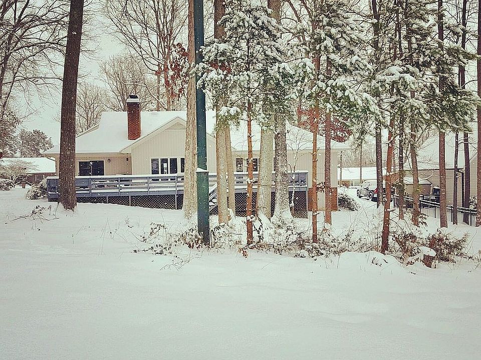 Back yard view
