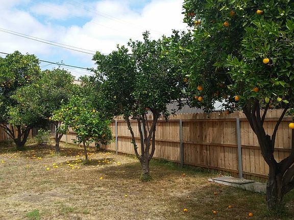 5th image of 894 Calle La Prada