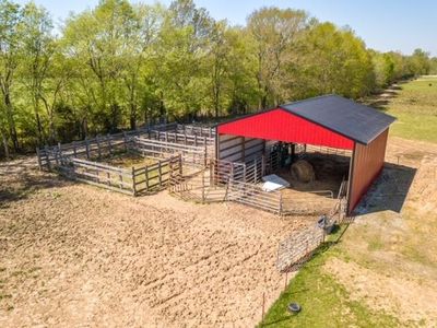 550 Kaylie Lynn Ln, Savannah, TN, 38372