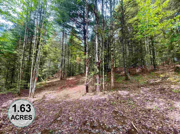 00 Marshall Newland Road, Burke, VT 05832