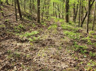 0 Chestnut Mountain Rd, Reliance, TN 37369