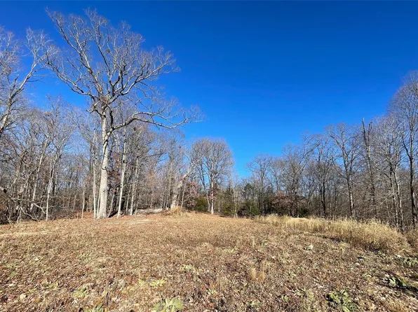 141 Steeple Point Dr, Defiance, MO 63341