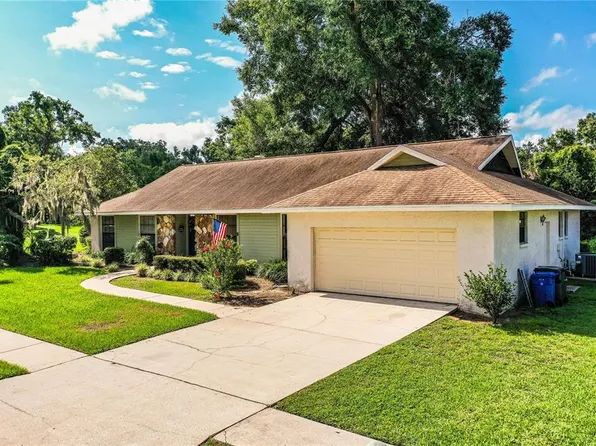 2223 Wildwood Hollow Dr, Valrico, FL 33596