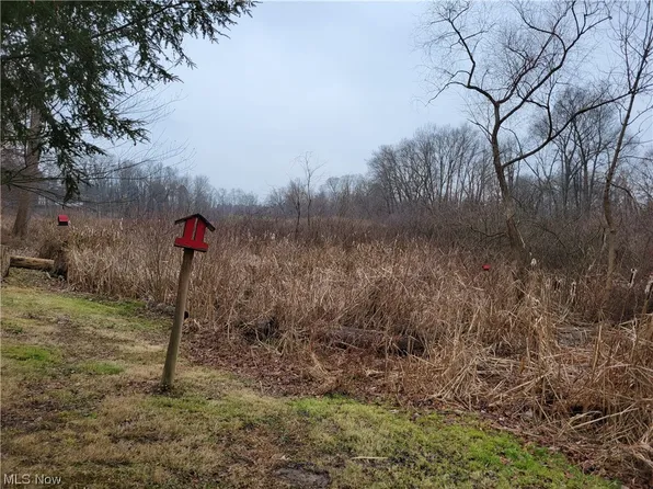 Diagonal Rd, Kent, OH 44240