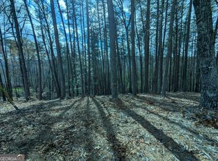 LOT 30 31 Eagle Ridge Rd, Dawsonville, GA