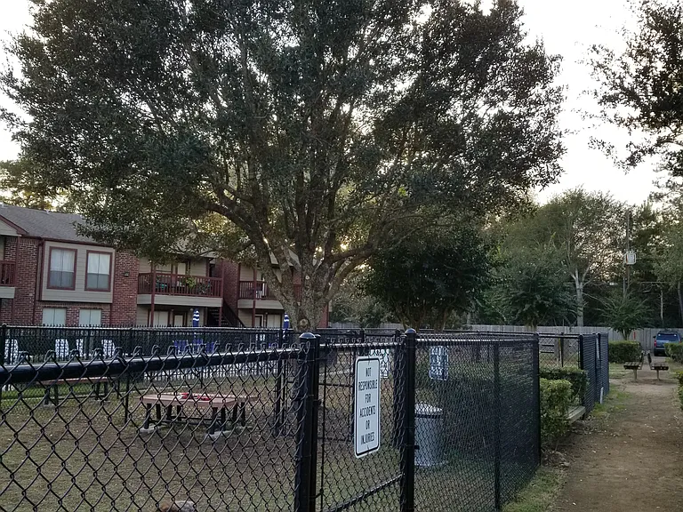 Dog Park-Mister is unleashed to play