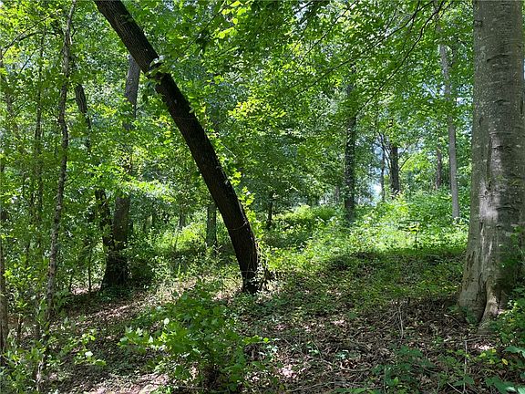 5th image of LOT 14 Arrowhead Lake Trl
