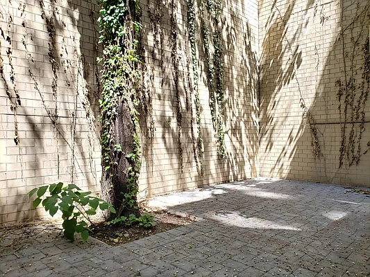 Rented by Compass | media 2