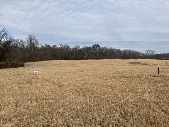 4th image of 8 Southport Rd Lot 8