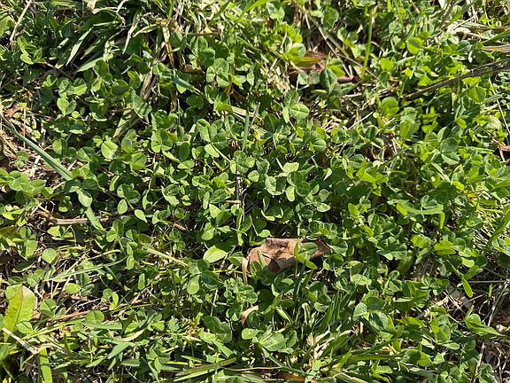 4th image of 322 Sugar Valley Rd