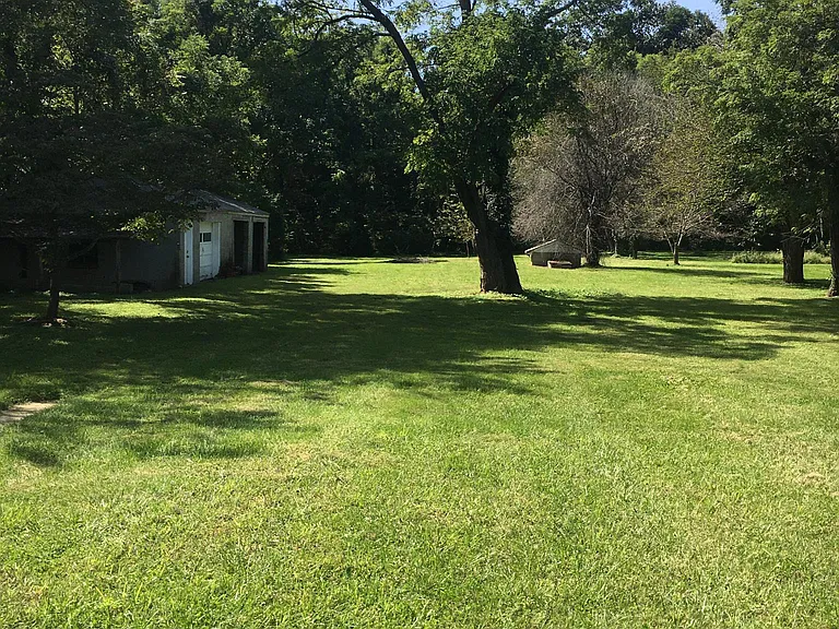 Back yard