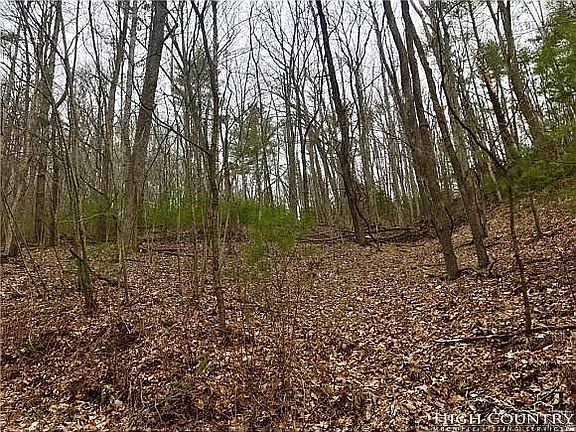 3rd image of 397 Banjo Ridge Rd