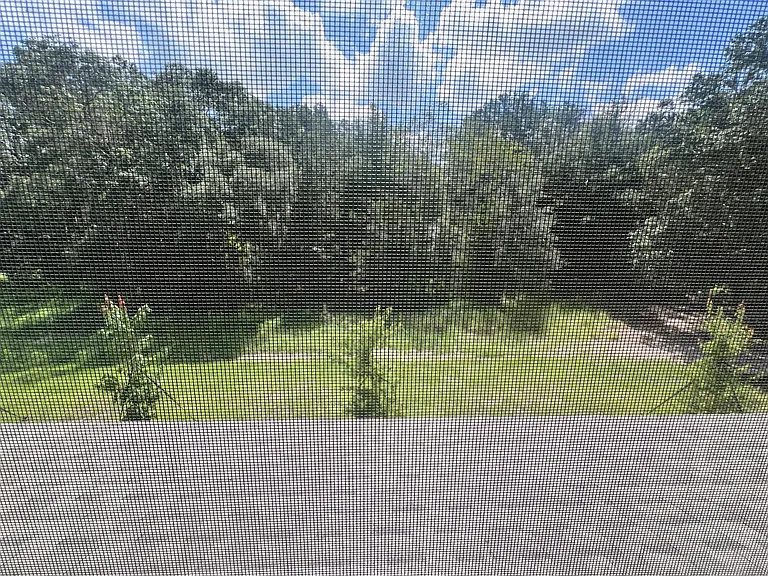 10292 Trumpet Honeysuckle Way — Photo 15