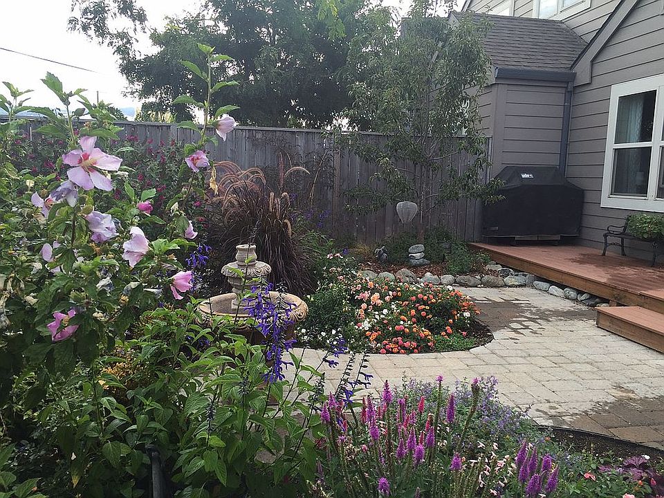 Landscaped backyard 