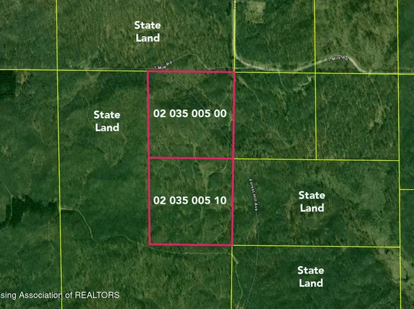 13505-7 Mile Rd, Evart, MI 49631