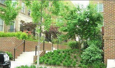 Spring View Front of Unit