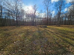 Logtown (Black Bear Ridge) Road, Greenville, NY 12771