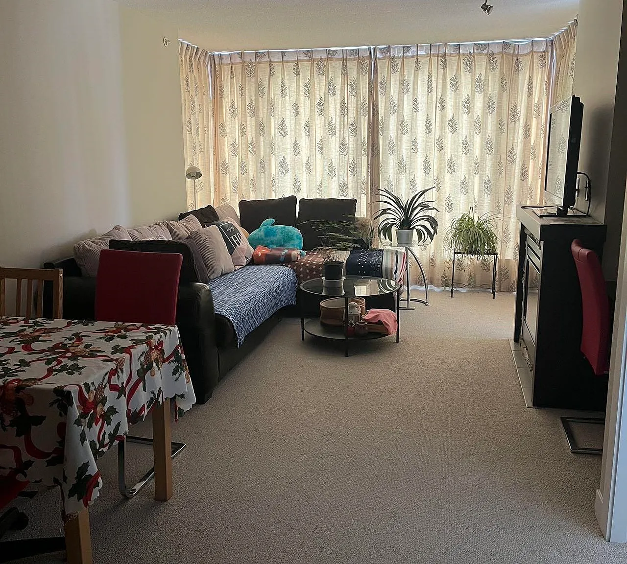 1 bed, 650 sqft, $2,300 — Photo 2