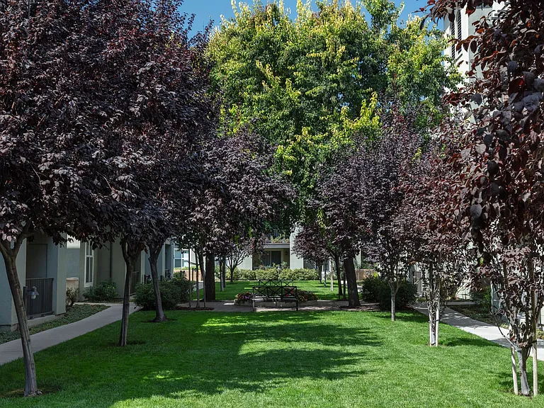 Villa Torino — Photo 16