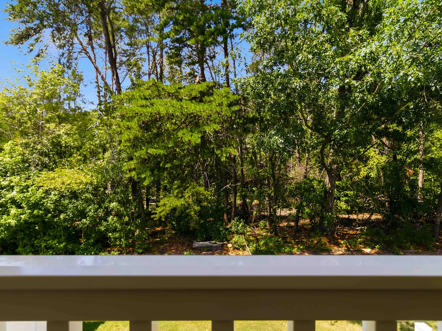 337 Nettle Ln, Greenville, SC 29607 — Photo 4