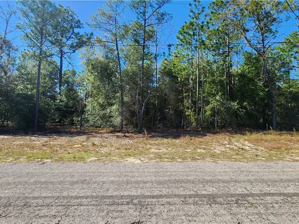 9955 N Sherman Dr, Citrus Springs, FL 34434